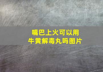 嘴巴上火可以用牛黄解毒丸吗图片