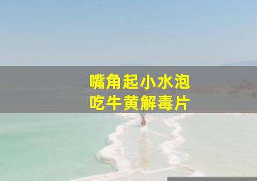 嘴角起小水泡吃牛黄解毒片