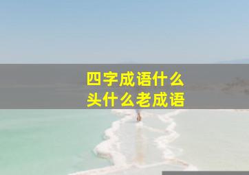 四字成语什么头什么老成语