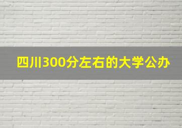 四川300分左右的大学公办