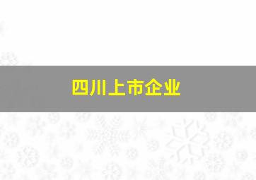 四川上市企业