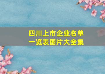 四川上市企业名单一览表图片大全集