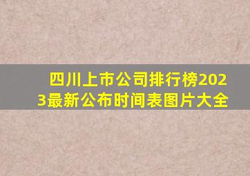 四川上市公司排行榜2023最新公布时间表图片大全