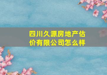 四川久源房地产估价有限公司怎么样