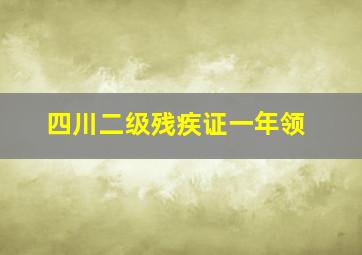 四川二级残疾证一年领