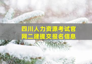 四川人力资源考试官网二建提交报名信息