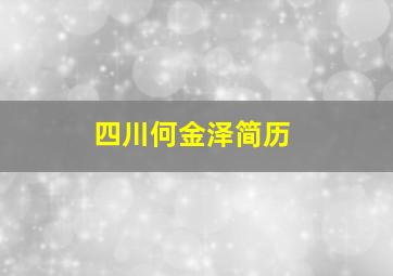 四川何金泽简历