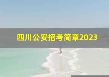 四川公安招考简章2023