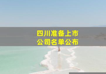 四川准备上市公司名单公布