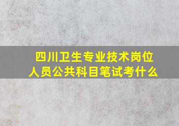 四川卫生专业技术岗位人员公共科目笔试考什么