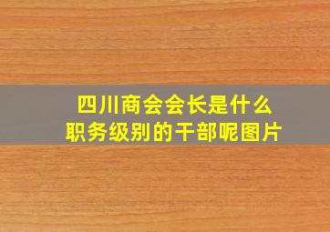 四川商会会长是什么职务级别的干部呢图片