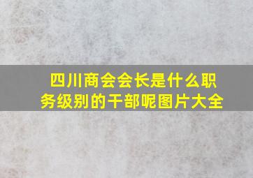 四川商会会长是什么职务级别的干部呢图片大全