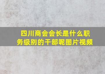 四川商会会长是什么职务级别的干部呢图片视频