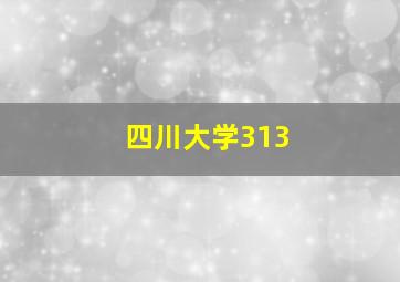 四川大学313