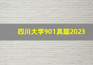 四川大学901真题2023