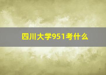 四川大学951考什么