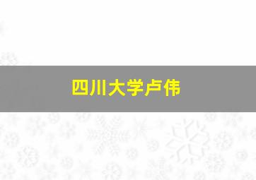 四川大学卢伟