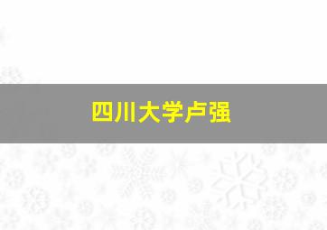 四川大学卢强