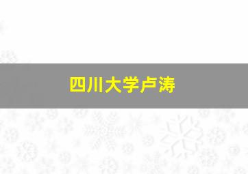 四川大学卢涛