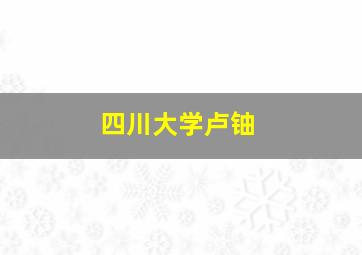 四川大学卢铀