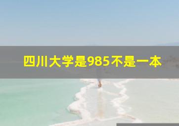 四川大学是985不是一本