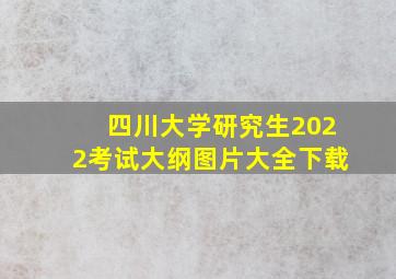 四川大学研究生2022考试大纲图片大全下载