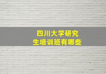 四川大学研究生培训班有哪些