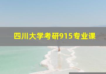 四川大学考研915专业课