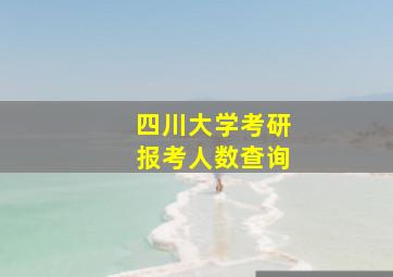 四川大学考研报考人数查询