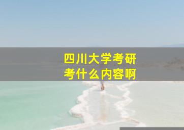 四川大学考研考什么内容啊