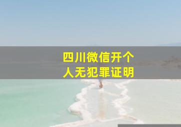 四川微信开个人无犯罪证明