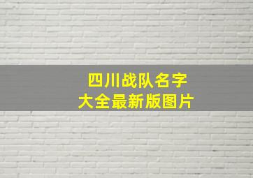 四川战队名字大全最新版图片