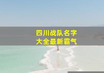 四川战队名字大全最新霸气