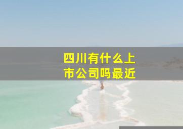 四川有什么上市公司吗最近