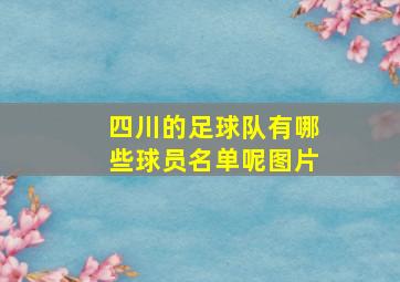 四川的足球队有哪些球员名单呢图片