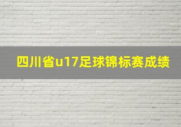 四川省u17足球锦标赛成绩