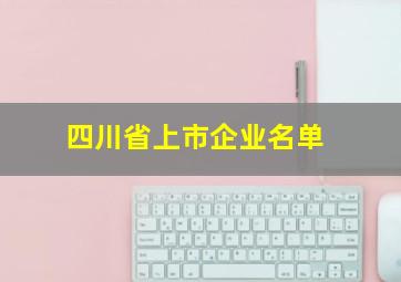 四川省上市企业名单