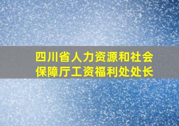 四川省人力资源和社会保障厅工资福利处处长