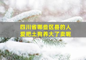 四川省哪些区县的人爱把土狗养大了卖呢