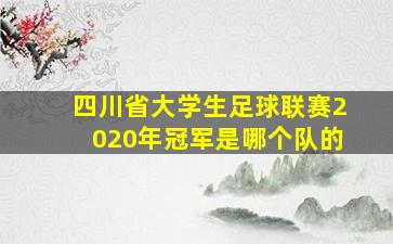 四川省大学生足球联赛2020年冠军是哪个队的