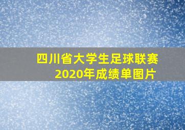 四川省大学生足球联赛2020年成绩单图片