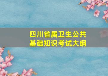 四川省属卫生公共基础知识考试大纲