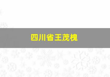 四川省王茂槐