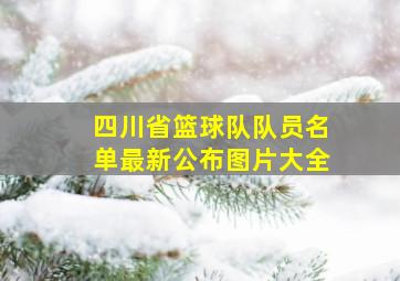 四川省篮球队队员名单最新公布图片大全