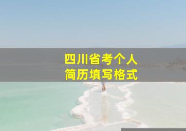 四川省考个人简历填写格式