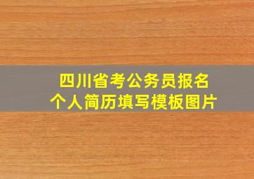 四川省考公务员报名个人简历填写模板图片