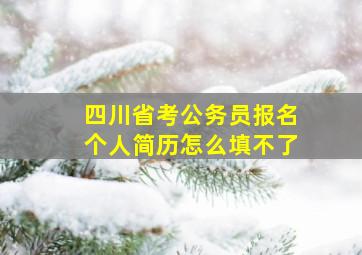 四川省考公务员报名个人简历怎么填不了