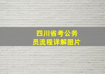 四川省考公务员流程详解图片