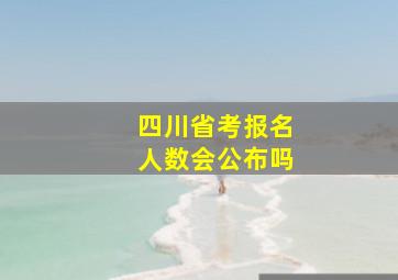 四川省考报名人数会公布吗