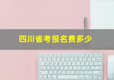 四川省考报名费多少